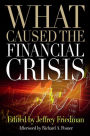 What Caused the Financial Crisis