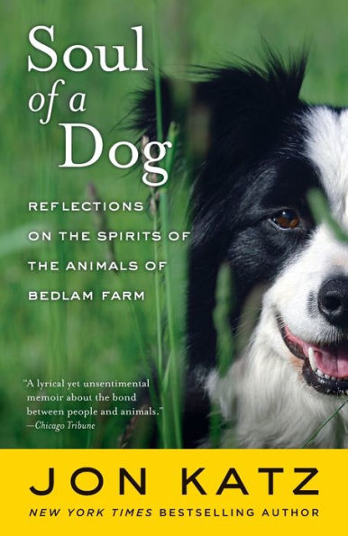Soul of a Dog: Reflections on the Spirits of the Animals of Bedlam Farm