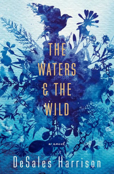 The Waters & The Wild: A Novel