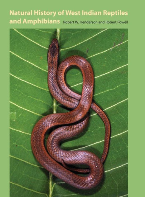 Natural History of West Indian Reptiles and Amphibians by Robert W