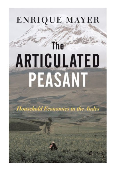 The Articulated Peasant: Household Economies In The Andes / Edition 1