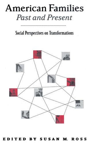 American Families Past and Present: Social Perspectives on Transformations / Edition 1
