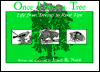 Once upon a Tree: Life from Treetop to Root Tips
