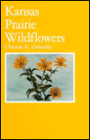 Kansas Prairie Wildflowers