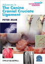 Advances in the Canine Cranial Cruciate Ligament / Edition 1