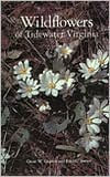Title: Wild Flowers of Tidewater Virginia, Author: Oscar Wand Gupton