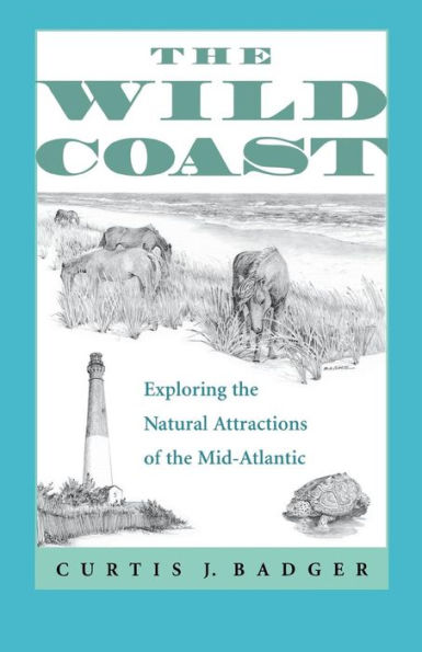 The Wild Coast: Exploring the Natural Attractions of the Mid-Atlantic