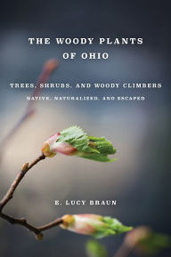 Title: WOODY PLANTS OF OHIO: Trees, Shrubs, and Woody Climbers: Native, Naturalized, and Escaped, Author: E. LUCY BRAUN