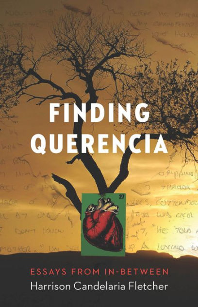 Querencia essay 07 picture