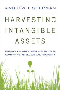 Harvesting Intangible Assets: Uncover Hidden Revenue in Your Company's Intellectual Property