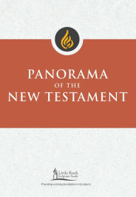 Title: Panorama of the New Testament, Author: Stephen J Binz