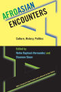 AfroAsian Encounters: Culture, History, Politics / Edition 1