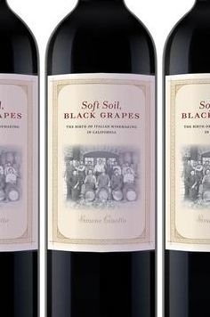 Soft Soil, Black Grapes: The Birth of Italian Winemaking in California