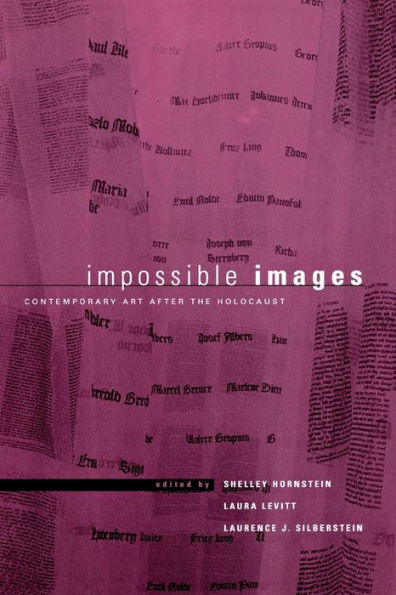 Impossible Images: Contemporary Art After the Holocaust