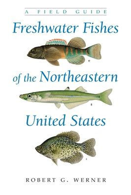 Freshwater Fishes of the Northeastern United States: A Field Guide / Edition 1