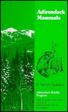 Adirondack Mammals