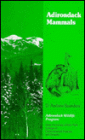 Adirondack Mammals