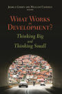 What Works in Development?: Thinking Big and Thinking Small