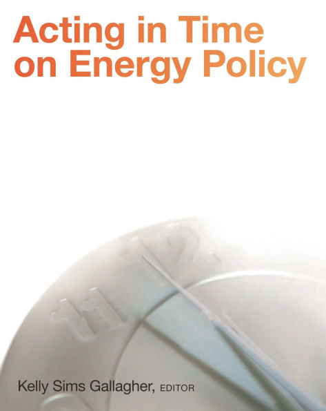 Acting in Time on Energy Policy
