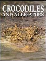 Crocodiles and Alligators