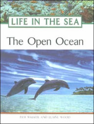 The Open Ocean