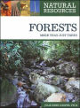 Forests: More Than Just Trees