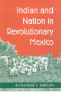 Indian and Nation in Revolutionary Mexico / Edition 1
