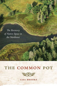 Title: The Common Pot: The Recovery of Native Space in the Northeast, Author: Lisa Brooks