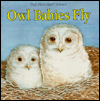Owl Babies Fly
