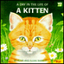 Day in the Life of a Kitten