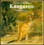 Kangaroo: Animals in the Wild