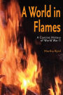 A World in Flames: A Concise Military History of World War II / Edition 2