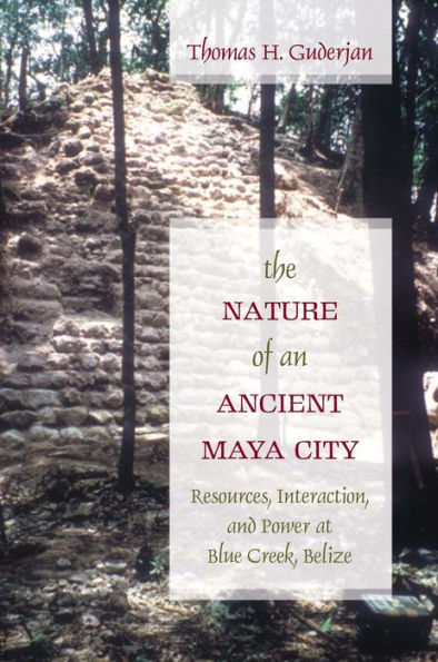 The Nature of an Ancient Maya City: Resources, Interaction, and Power at Blue Creek, Belize
