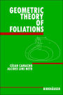 Geometric Theory of Foliations / Edition 1