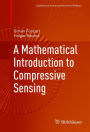 A Mathematical Introduction to Compressive Sensing