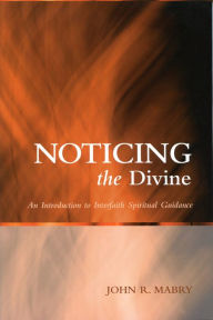 Title: Noticing the Divine: An Introduction to Interfaith Spiritual Guidance, Author: John R. Mabry