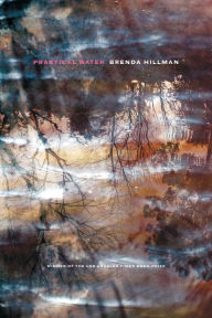 Title: Practical Water, Author: Brenda Hillman
