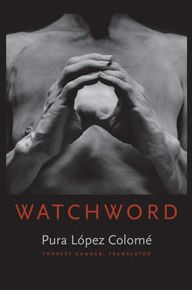 Watchword