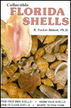 Collectible Florida Shells
