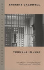 Trouble in July: A Novel