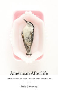Title: American Afterlife: Encounters in the Customs of Mourning, Author: Kate Sweeney