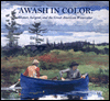 Awash in Color: Homer Sargent and the Great American Watercolor