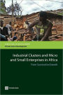 Industrial Clusters and Micro and Small Enterprises in Africa: From Survival to Growth