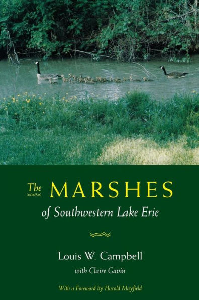 The Marshes of Southwestern Lake Erie