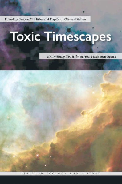 Toxic Timescapes: Examining Toxicity across Time and Space