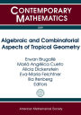 Algebraic and Combinatorial Aspects of Tropical Geometry
