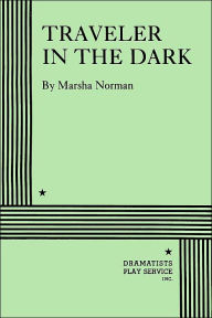 Traveler in the Dark
