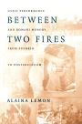 Between Two Fires: Gypsy Performance and Romani Memory from Pushkin to Post-Socialism / Edition 1