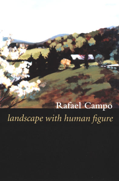 Landscape with Human Figure