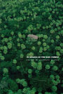 In Search of the Rain Forest